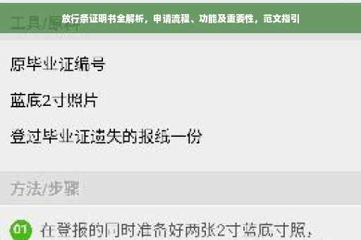 放行条证明书全解析，申请流程、功能及重要性，范文指引