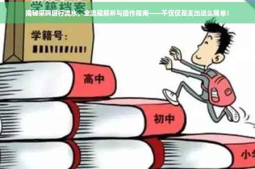 揭秘采购银行流水，全流程解析与操作指南——不仅仅是支出这么简单！