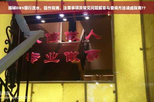 揭秘DBS银行流水，操作指南、注意事项及常见问题解答与查询方法速成指南??
