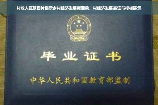 村收入证明图片揭示乡村经济发展新面貌，村经济发展实证与模板展示