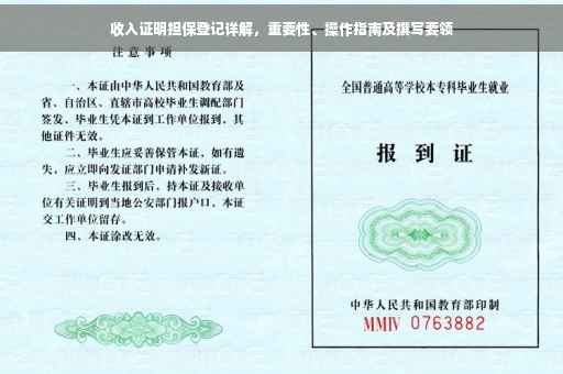 收入证明担保登记详解，重要性、操作指南及撰写要领