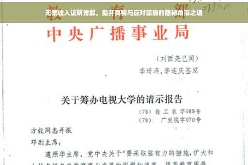 无票收入证明详解，揭开真相与应对策略的隐秘角落之道