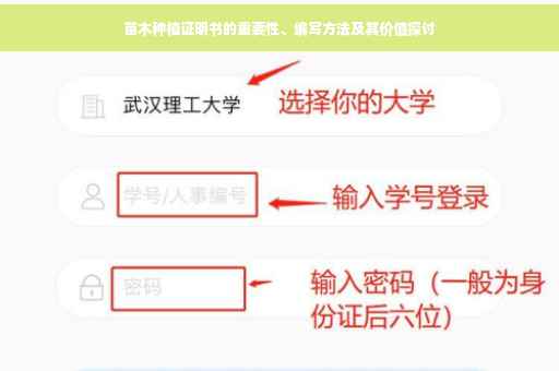 苗木种植证明书的重要性、编写方法及其价值探讨
