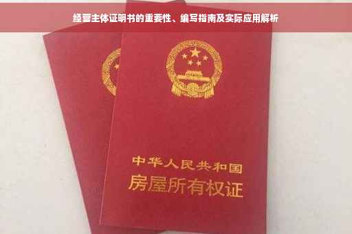经营主体证明书的重要性、编写指南及实际应用解析