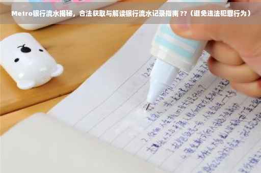 Metro银行流水揭秘，合法获取与解读银行流水记录指南 ??（避免违法犯罪行为）