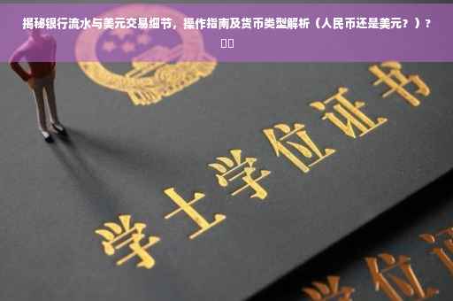 揭秘银行流水与美元交易细节，操作指南及货币类型解析（人民币还是美元？）?⚡️