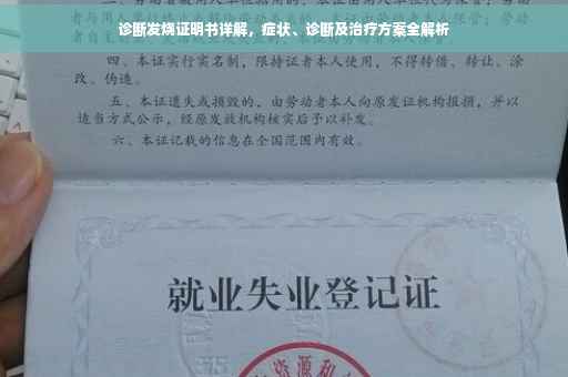 诊断发烧证明书详解，症状、诊断及治疗方案全解析