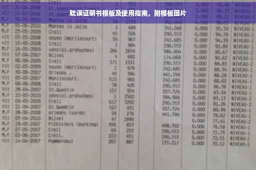 耽误证明书模板及使用指南，附模板图片
