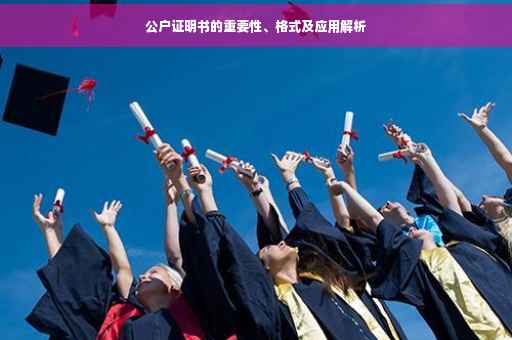 公户证明书的重要性、格式及应用解析
