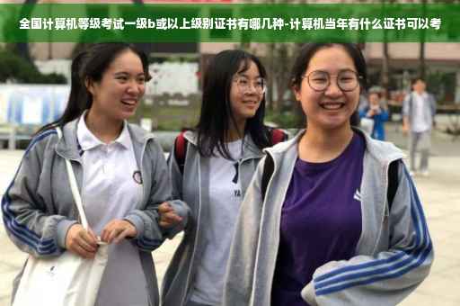 全国计算机等级考试一级b或以上级别证书有哪几种-计算机当年有什么证书可以考