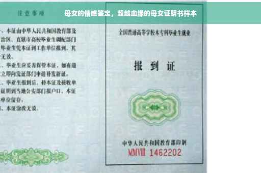 母女的情感鉴定，超越血缘的母女证明书样本