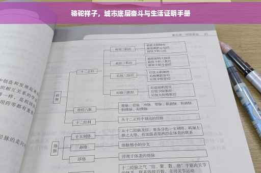 骆驼祥子，城市底层奋斗与生活证明手册