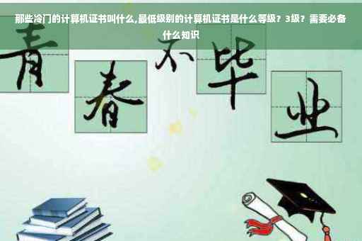 那些冷门的计算机证书叫什么,最低级别的计算机证书是什么等级？3级？需要必备什么知识