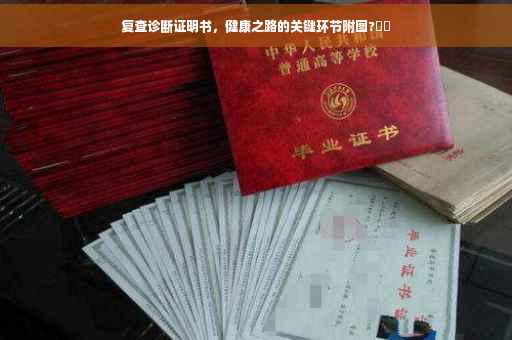 复查诊断证明书，健康之路的关键环节附图?⚡️