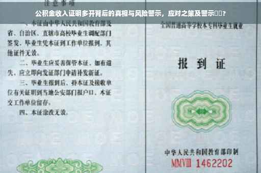 公积金收入证明多开背后的真相与风险警示，应对之策及警示⚡️?