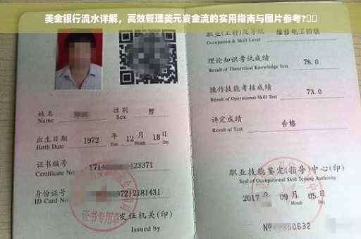 美金银行流水详解，高效管理美元资金流的实用指南与图片参考?⚡️