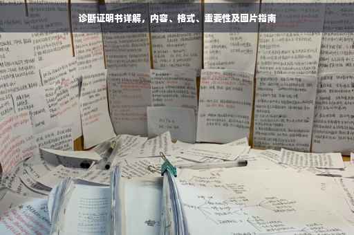 诊断证明书详解，内容、格式、重要性及图片指南