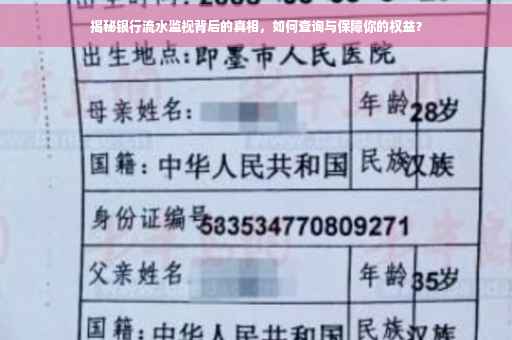 揭秘银行流水监视背后的真相，如何查询与保障你的权益？