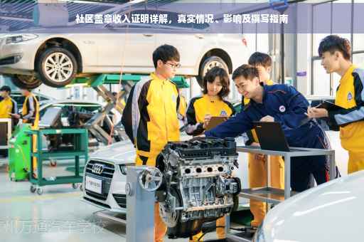 社区盖章收入证明详解，真实情况、影响及撰写指南