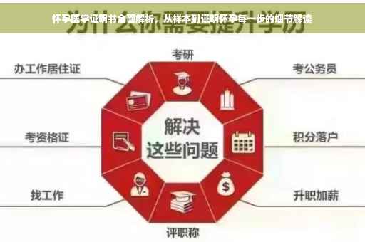 怀孕医学证明书全面解析，从样本到证明怀孕每一步的细节解读