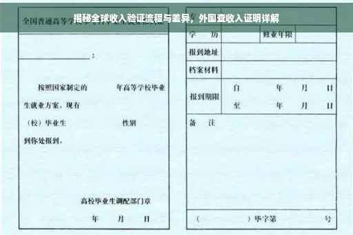 揭秘全球收入验证流程与差异，外国查收入证明详解
