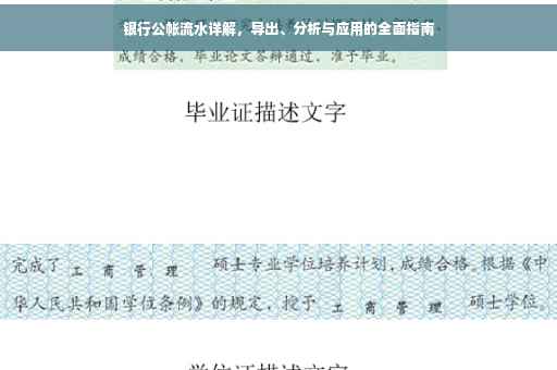 银行公帐流水详解，导出、分析与应用的全面指南