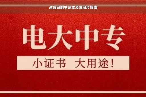 占股证明书范本及其图片指南