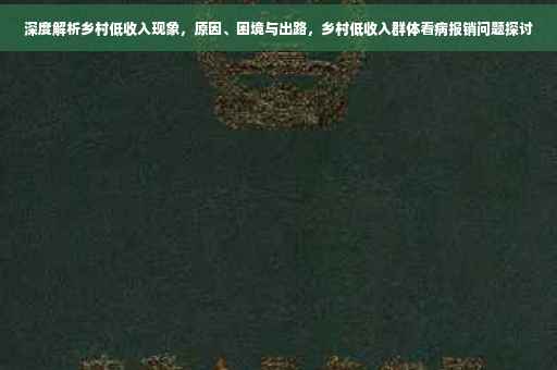 深度解析乡村低收入现象，原因、困境与出路，乡村低收入群体看病报销问题探讨