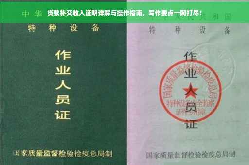 贷款补交收入证明详解与操作指南，写作要点一网打尽！