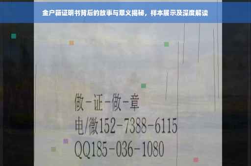 金户籍证明书背后的故事与意义揭秘，样本展示及深度解读