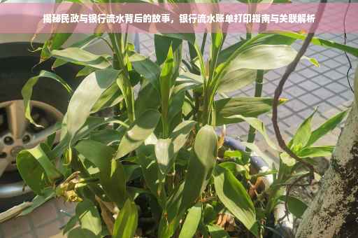 揭秘民政与银行流水背后的故事，银行流水账单打印指南与关联解析