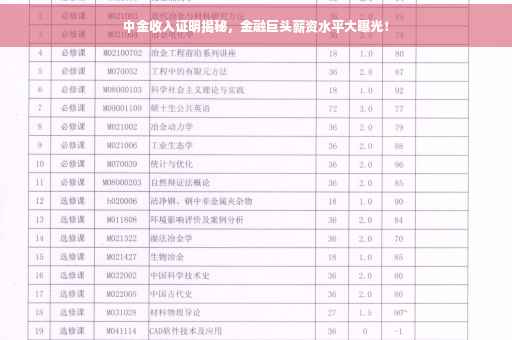 中金收入证明揭秘，金融巨头薪资水平大曝光！