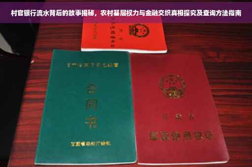 村官银行流水背后的故事揭秘，农村基层权力与金融交织真相探究及查询方法指南