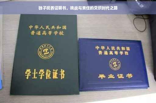 独子抚养证明书，挑战与责任的交织时代之路