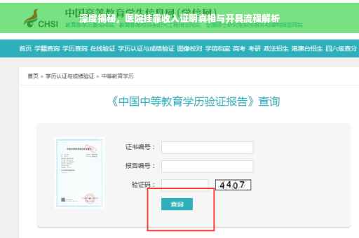深度揭秘，医院挂靠收入证明真相与开具流程解析