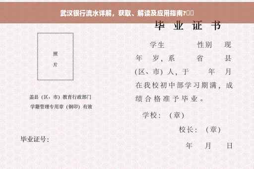 武汉银行流水详解，获取、解读及应用指南?⚡️