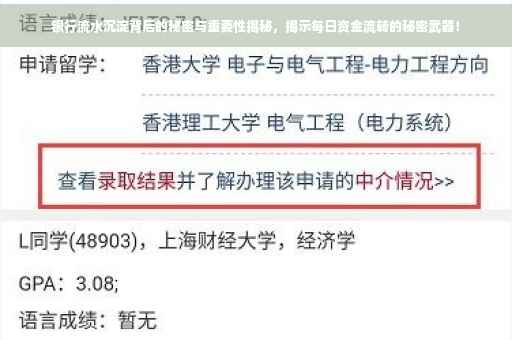 银行流水沉淀背后的秘密与重要性揭秘，揭示每日资金流转的秘密武器！