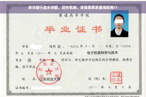 承兑银行流水详解，运作机制、关键要素及查询指南??