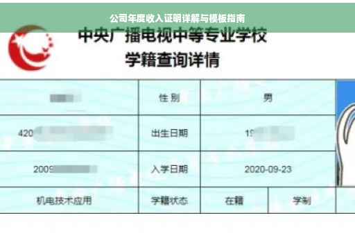公司年度收入证明详解与模板指南
