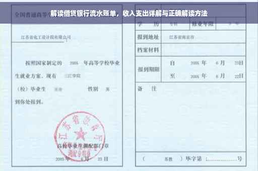 解读借贷银行流水账单，收入支出详解与正确解读方法