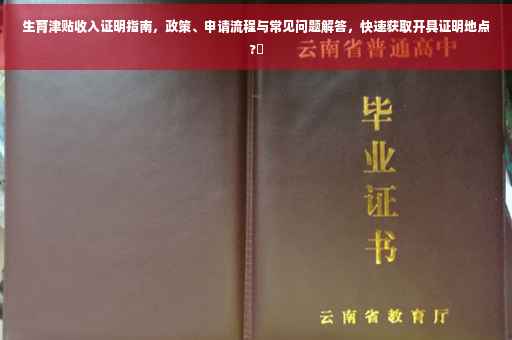 生育津贴收入证明指南，政策、申请流程与常见问题解答，快速获取开具证明地点?✨