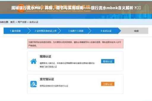 揭秘银行流水MB，真相、细节与实用指南——银行流水mbnk含义解析 ?⚡️