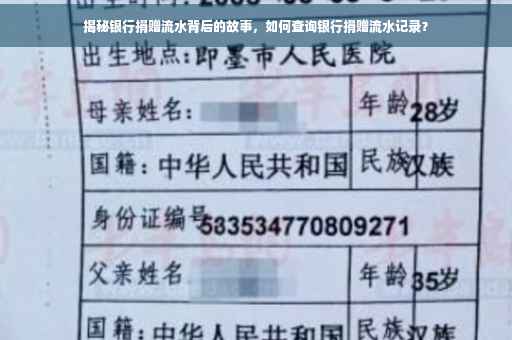 揭秘银行捐赠流水背后的故事，如何查询银行捐赠流水记录？
