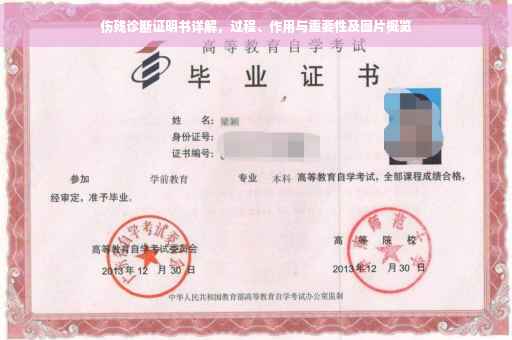 伤残诊断证明书详解，过程、作用与重要性及图片概览