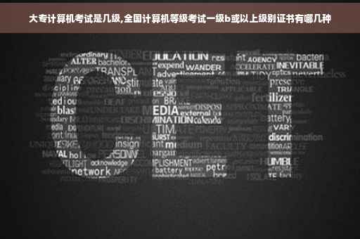 大专计算机考试是几级,全国计算机等级考试一级b或以上级别证书有哪几种 大专计算机考试是几级,全国计算机等级考试一级b或以上级别证书有哪几种