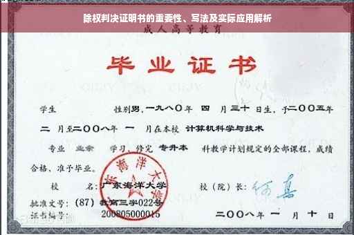 除权判决证明书的重要性、写法及实际应用解析