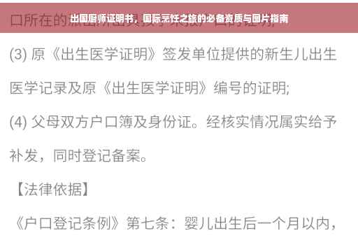 出国厨师证明书，国际烹饪之旅的必备资质与图片指南