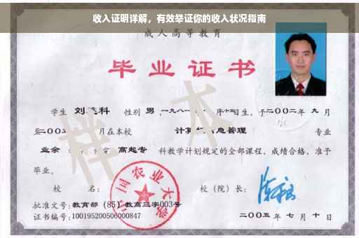 收入证明详解，有效举证你的收入状况指南