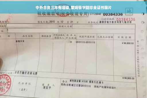 中外合资三本有哪些,莱姆顿学院毕业证书图片