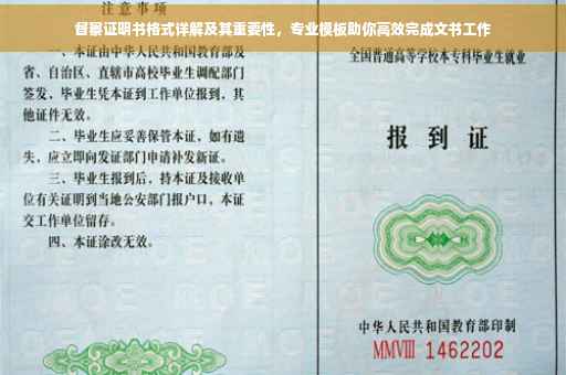 督察证明书格式详解及其重要性，专业模板助你高效完成文书工作
